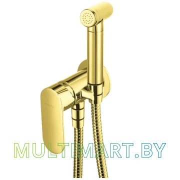 Гигиенический душ Deante Alpinia BGA Z34M